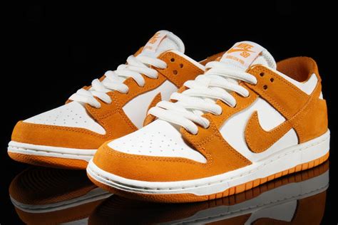 Nike sb dunk shoes